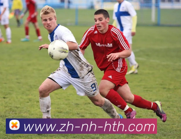 华体会登录入口发展历程